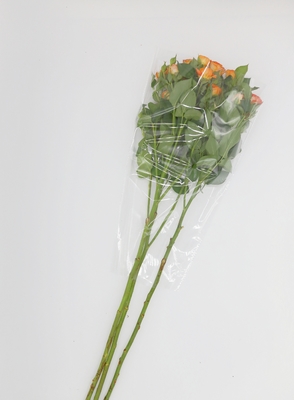 Clear Cellophane OPP Packaging Bag Bouquet Wrapping Sleeve Fresh Flower