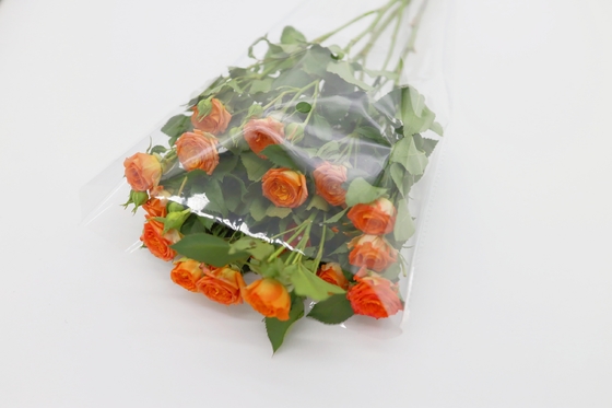 Transparent Plastic OPP Packaging Bag 180 Microns Oil Proof