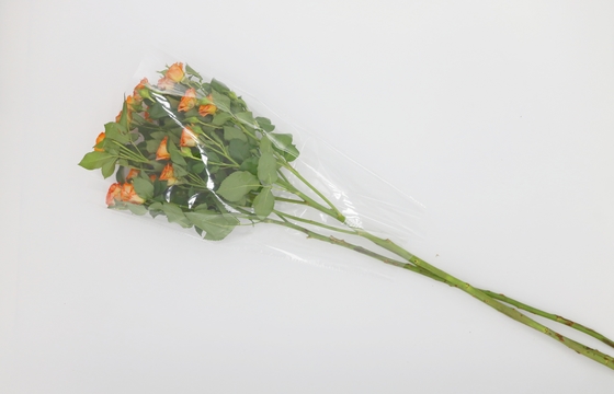 Transparent Plastic OPP Packaging Bag 180 Microns Oil Proof