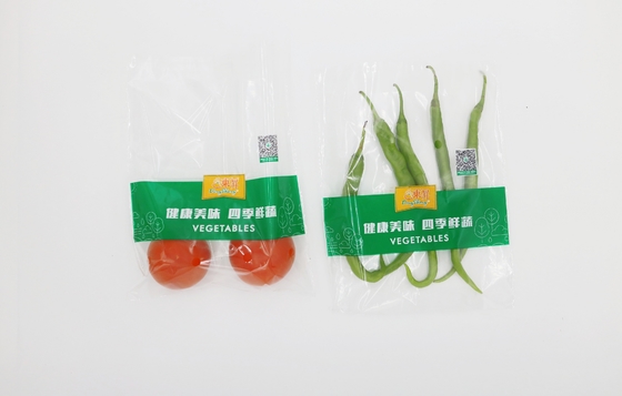 Self Adhesive Pe Perforated OPP Packaging Bag Anti Fog Fresh Ziplock Bag